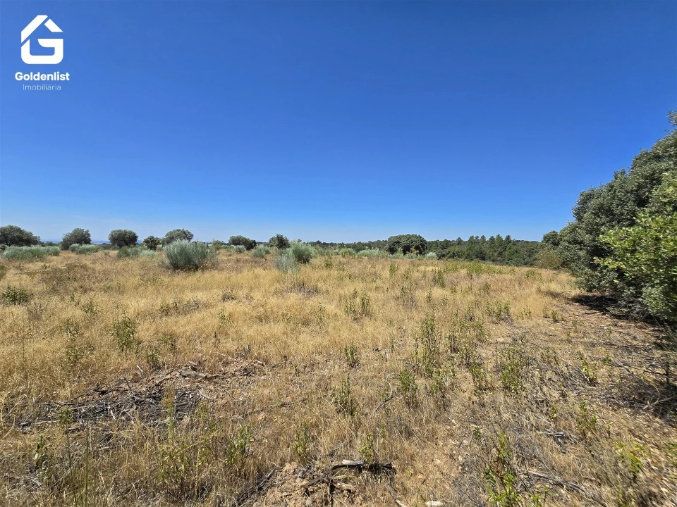 Terreno Agricola ou Rústico para Venda em Idanha-A-Nova e Alcafozes Foto 41