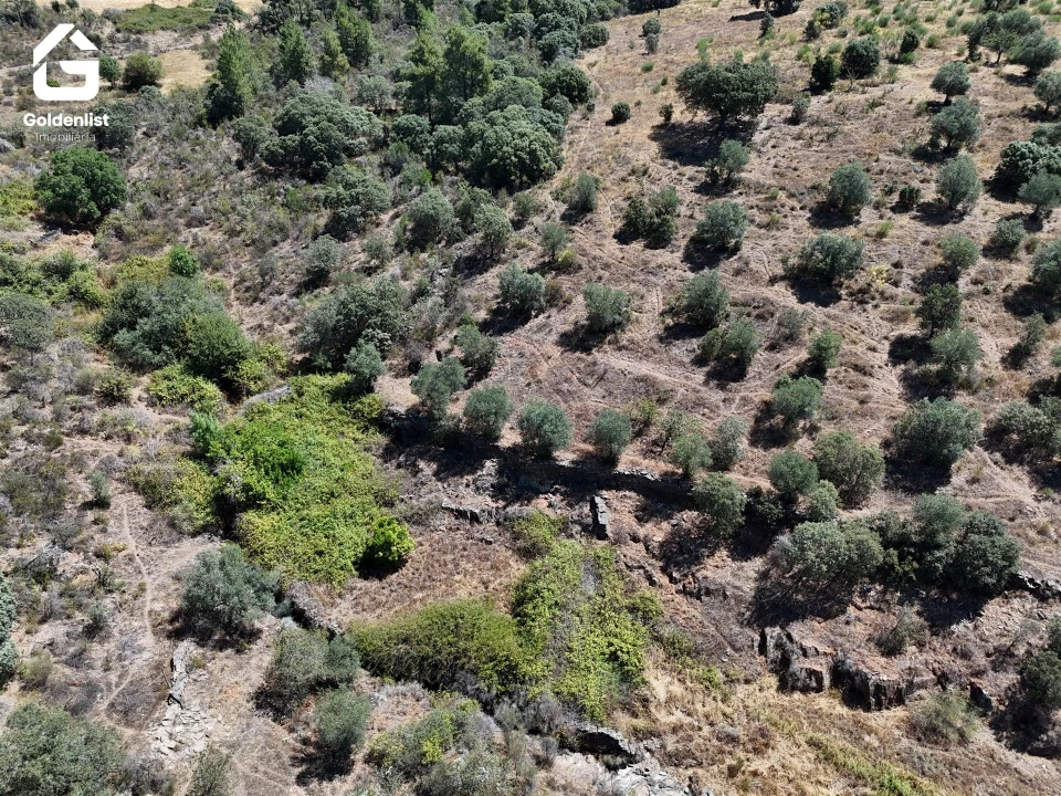 Terreno Agricola ou Rústico para Venda em Idanha-A-Nova e Alcafozes Foto 29