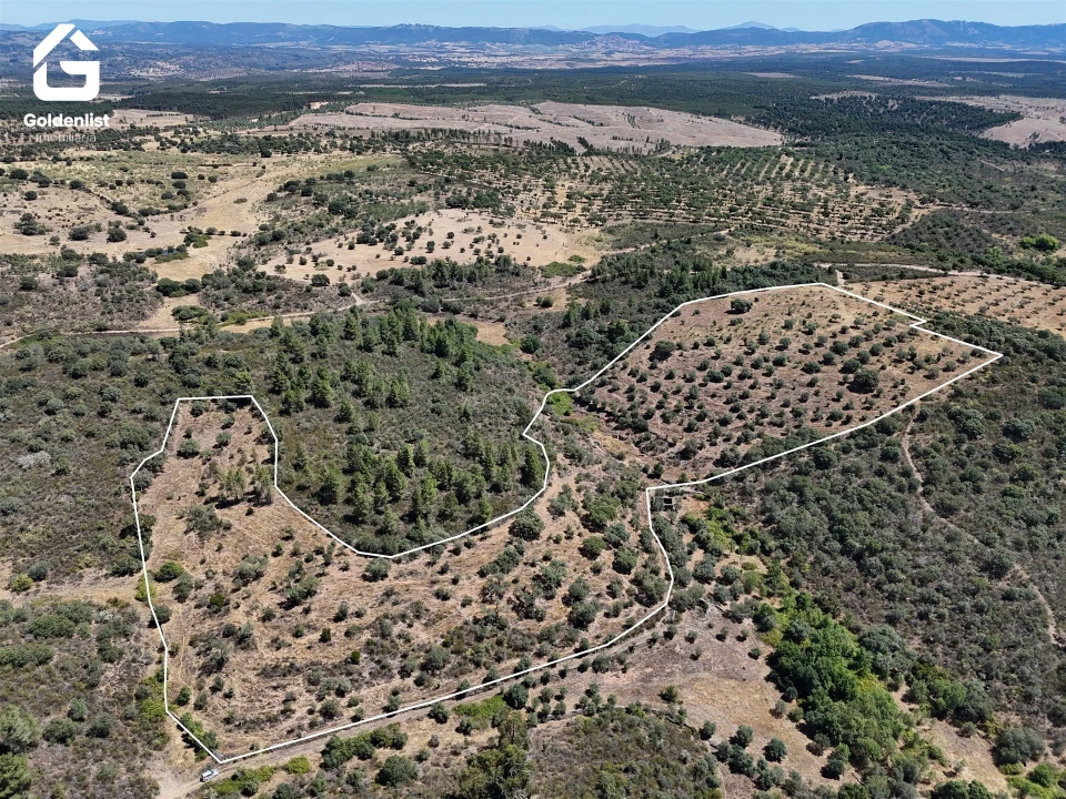 Terreno Agricola ou Rústico para Venda em Idanha-A-Nova e Alcafozes Foto 1