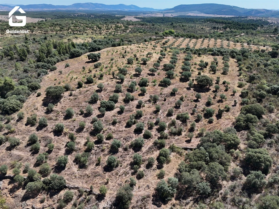 Terreno Agricola ou Rústico para Venda em Idanha-A-Nova e Alcafozes Foto 39