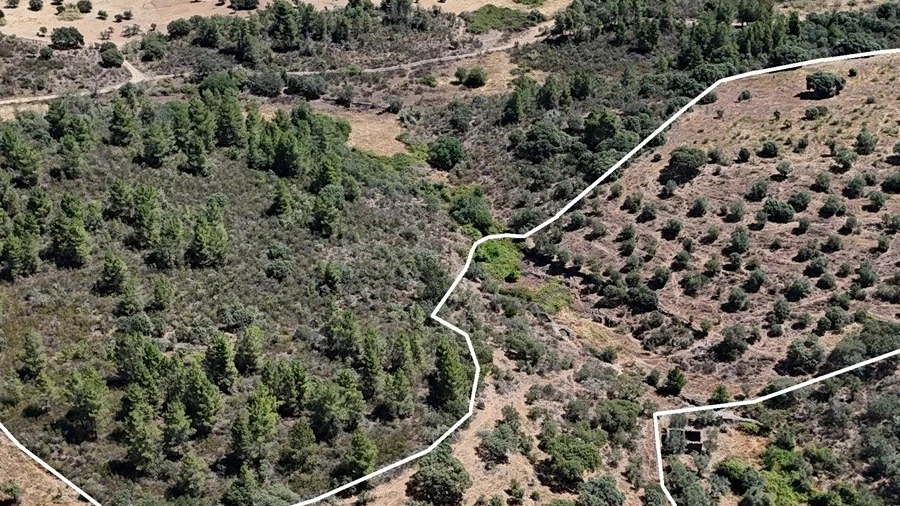 Terreno Agricola ou Rústico para Venda em Idanha-A-Nova e Alcafozes