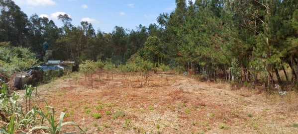 Terreno para Venda em Paião