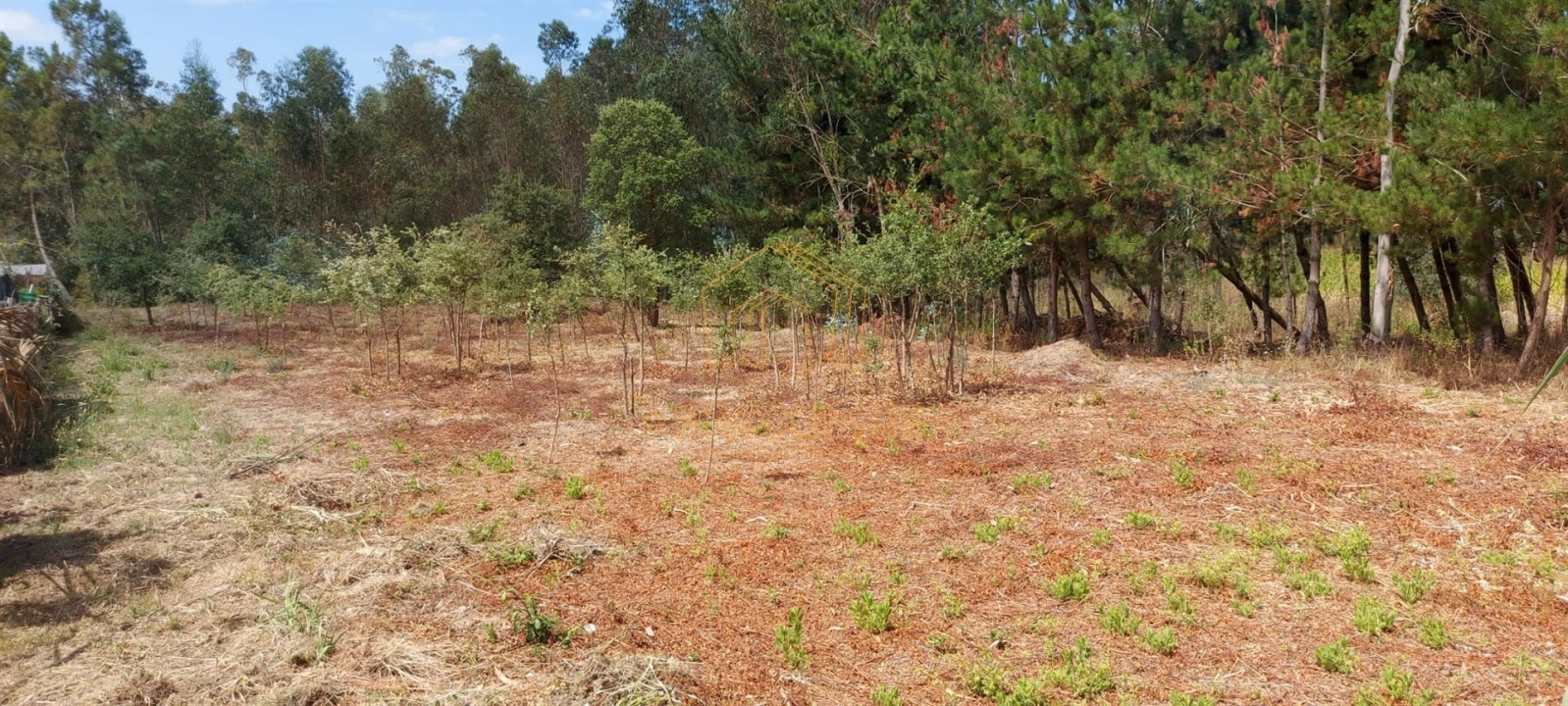 Terreno para Venda em Paião Foto 1