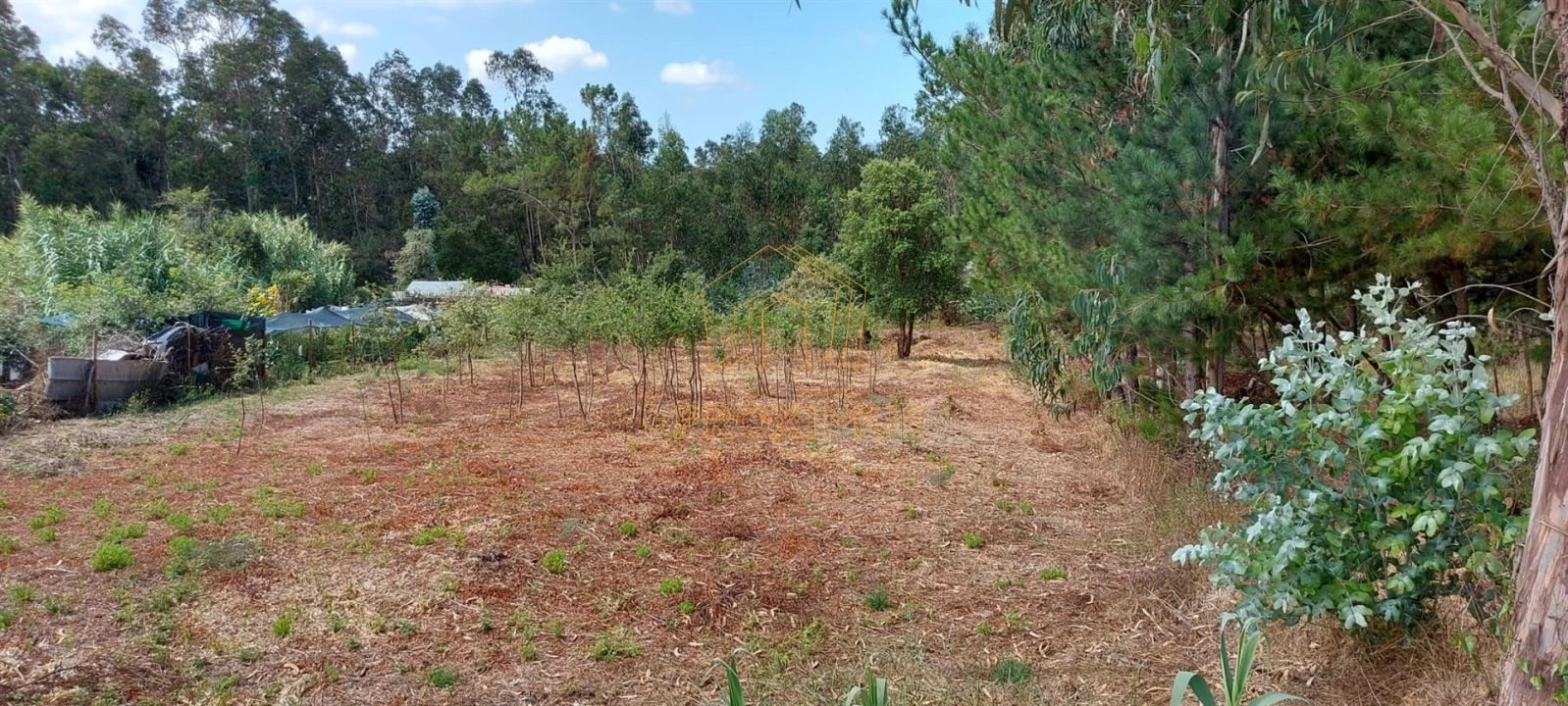 Terreno para Venda em Paião Foto 3