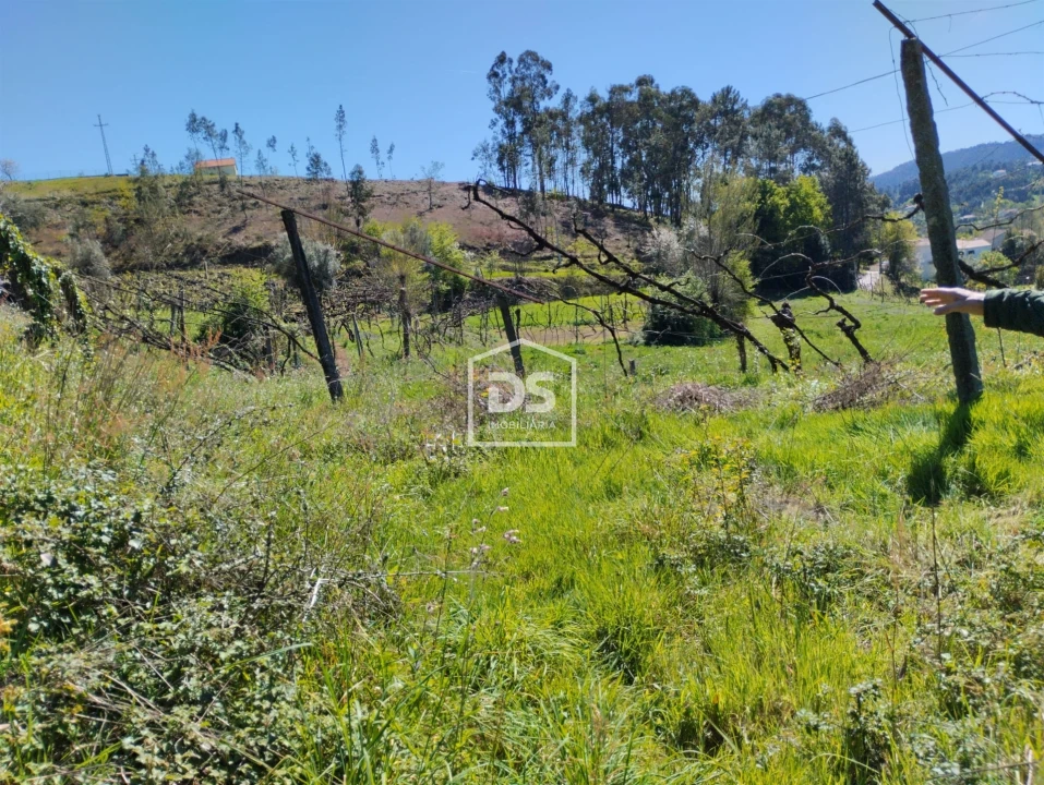 Moradia T0 para Venda em Telões Foto 3