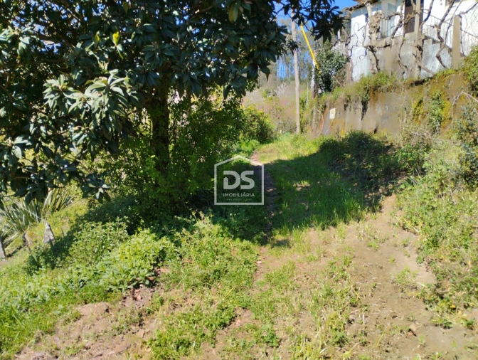 Moradia T0 para Venda em Telões Foto 7
