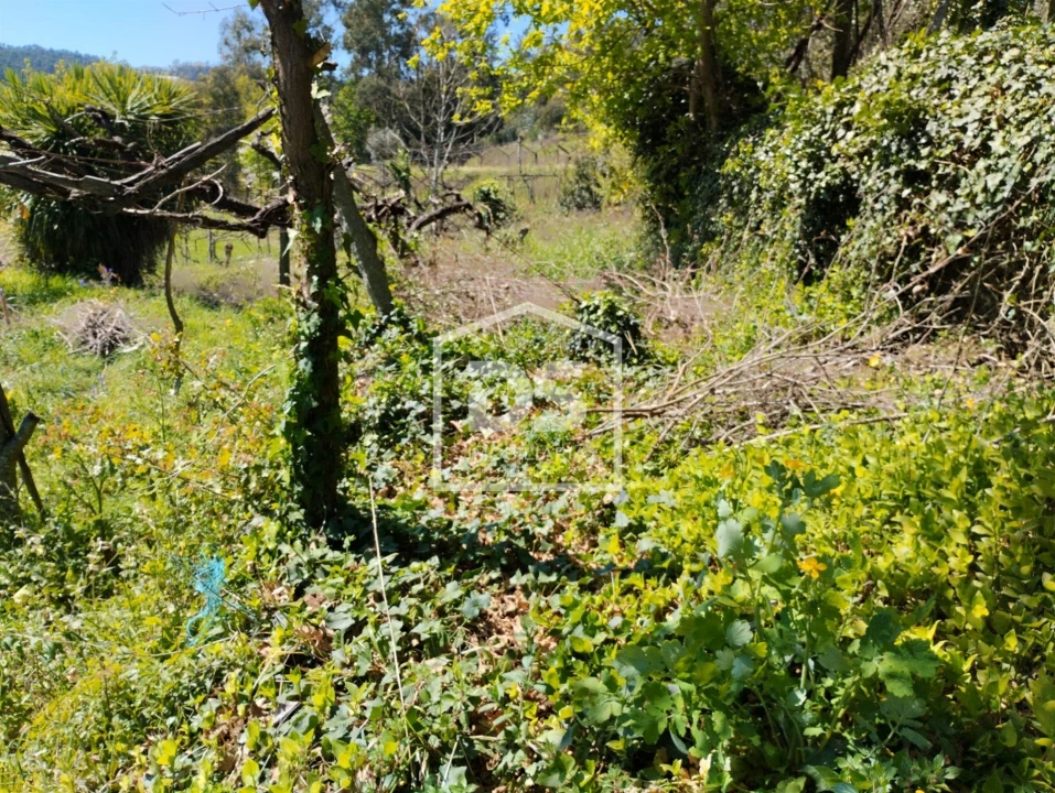 Moradia T0 para Venda em Telões Foto 9