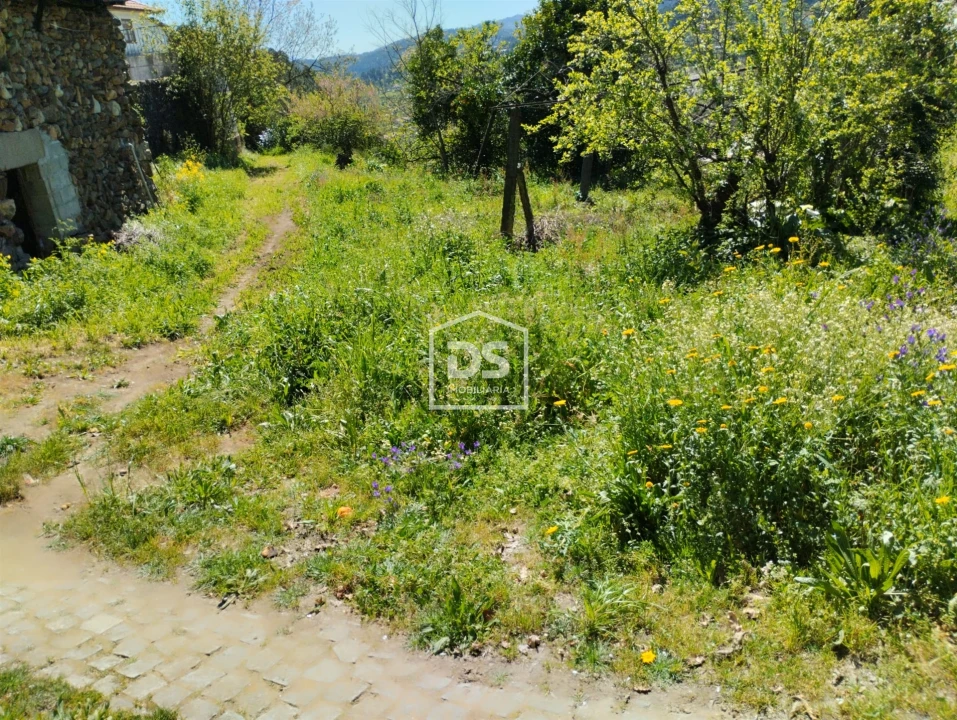 Moradia T0 para Venda em Telões Foto 11