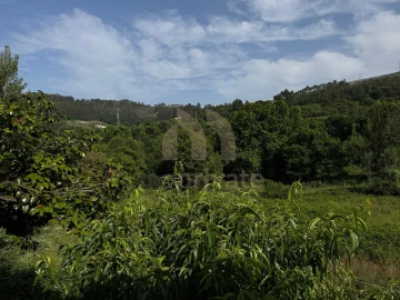 Quinta T3 para Venda em Regilde