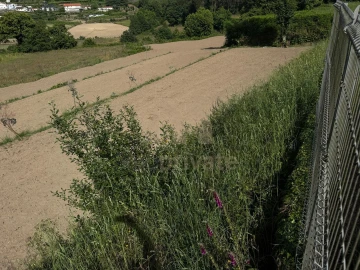 Quinta T3 para Venda em Regilde