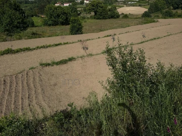 Quinta T3 para Venda em Regilde