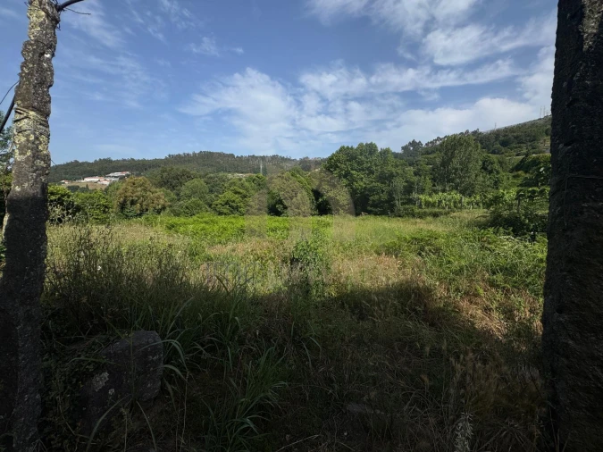 Quinta T3 para Venda em Regilde Foto 13