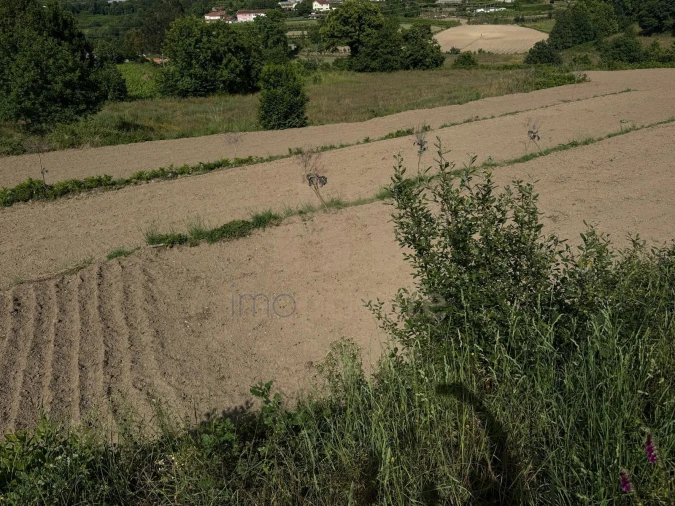 Quinta T3 para Venda em Regilde Foto 5