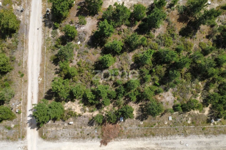 Terreno para Venda em Quinta do Conde Foto 5