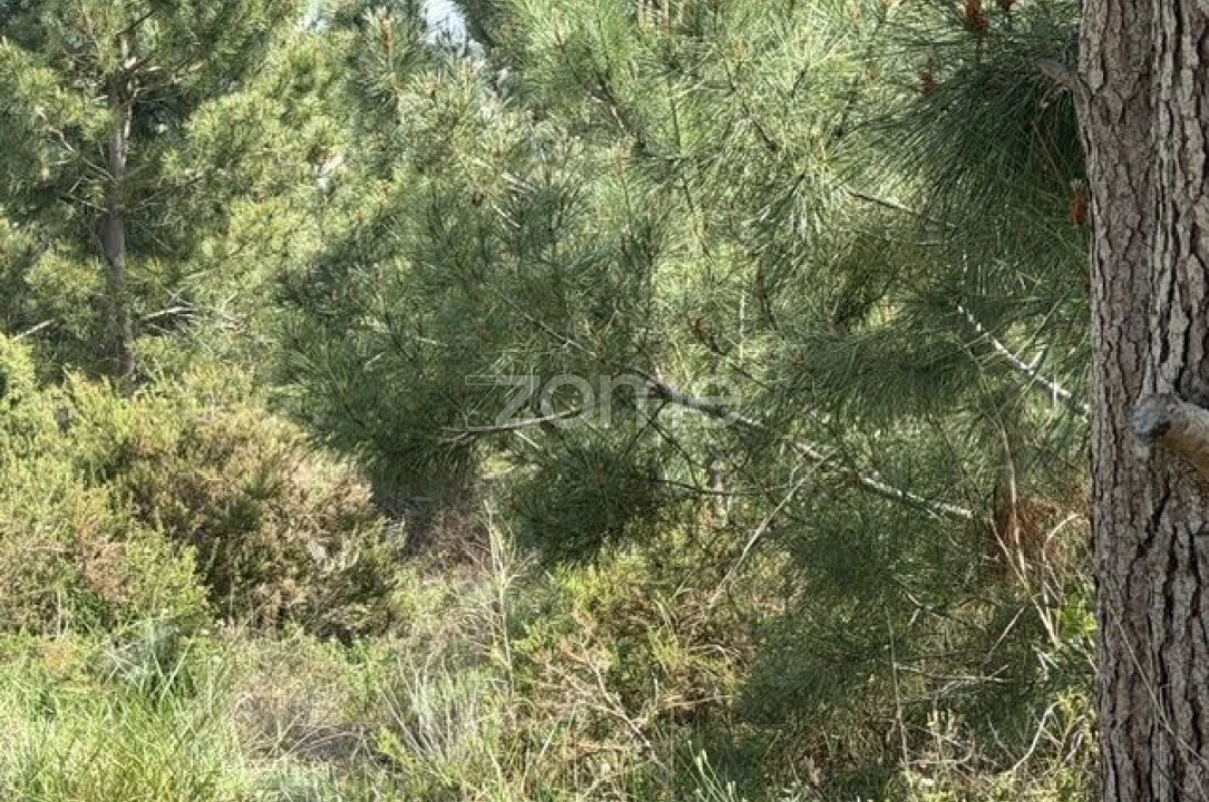Terreno para Venda em Quinta do Conde Foto 9