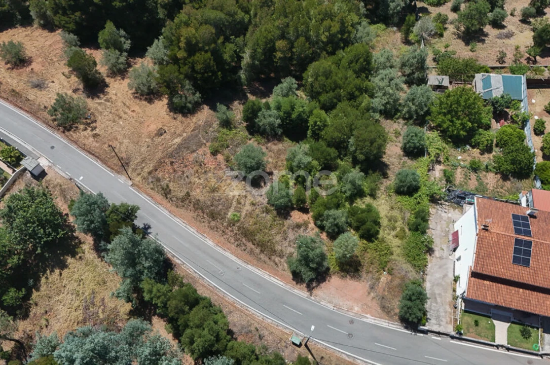 Terreno para Venda em Santo Antonio dos Olivais Foto 8
