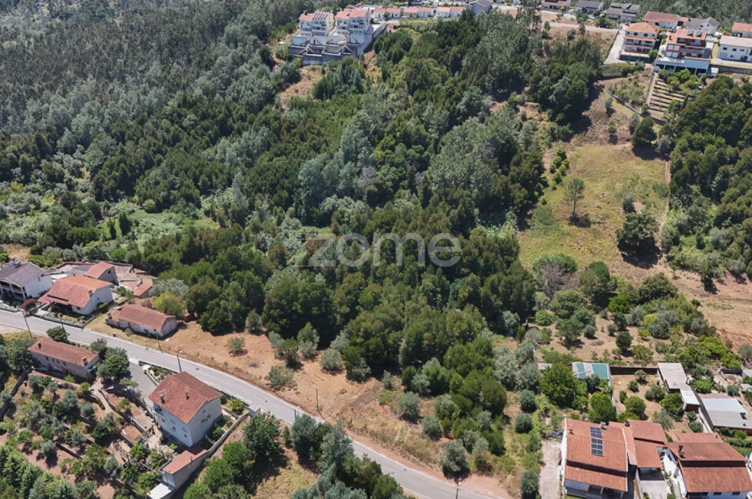 Terreno para Venda em Santo Antonio dos Olivais Foto 9