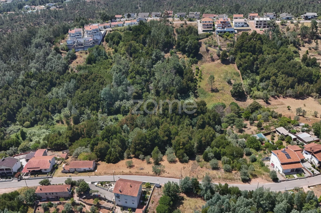 Terreno para Venda em Santo Antonio dos Olivais Foto 4