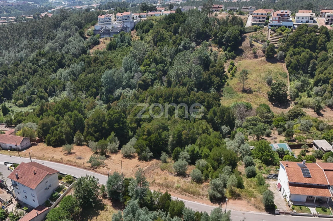 Terreno para Venda em Santo Antonio dos Olivais Foto 11