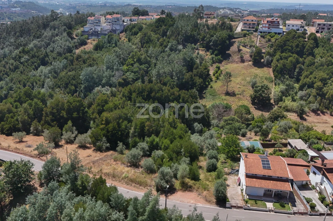 Terreno para Venda em Santo Antonio dos Olivais Foto 6