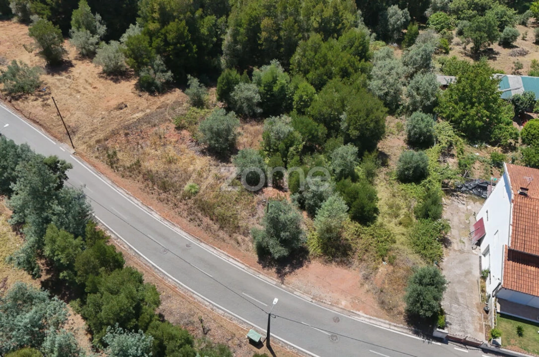 Terreno para Venda em Santo Antonio dos Olivais Foto 13