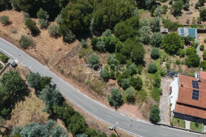 Terreno para Venda em Santo Antonio dos Olivais