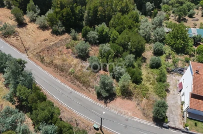 Terreno para Venda em Santo Antonio dos Olivais