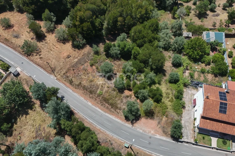 Terreno para Venda em Santo Antonio dos Olivais Foto 8
