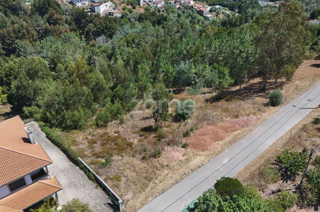 Terreno para Venda em Santo Antonio dos Olivais Foto 7