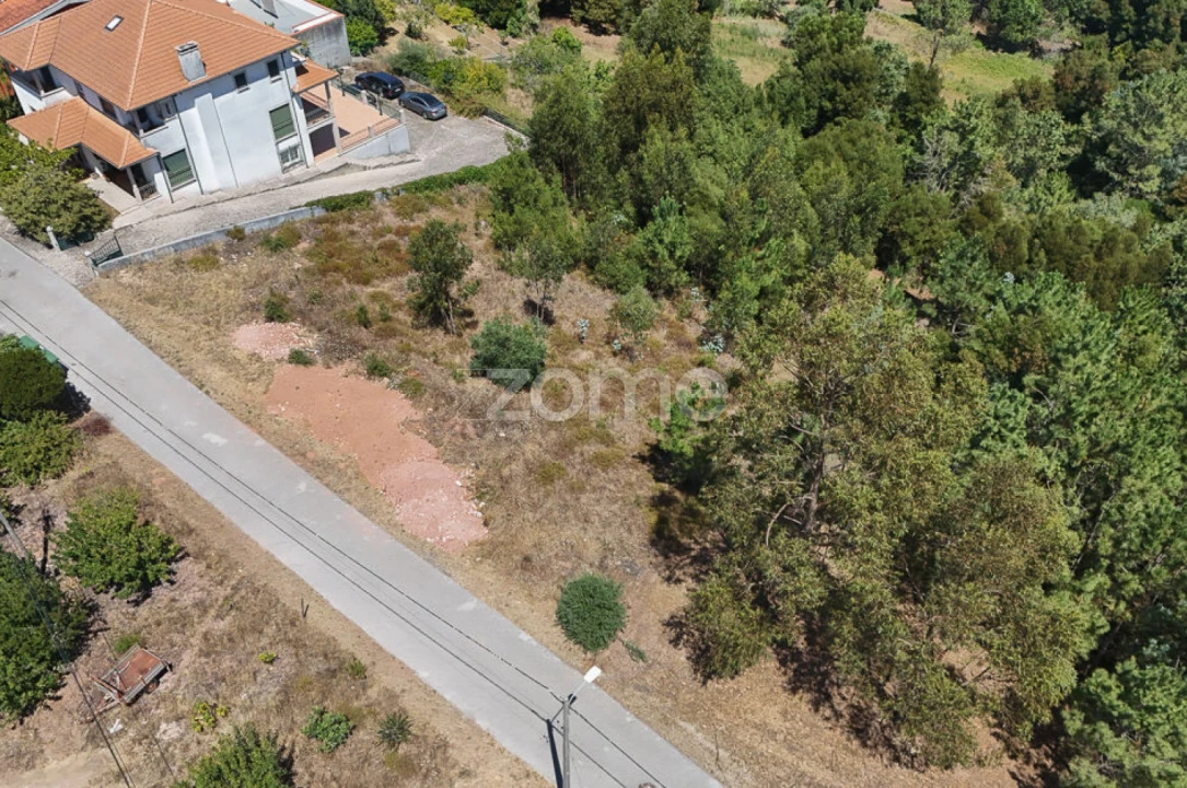 Terreno para Venda em Santo Antonio dos Olivais Foto 15