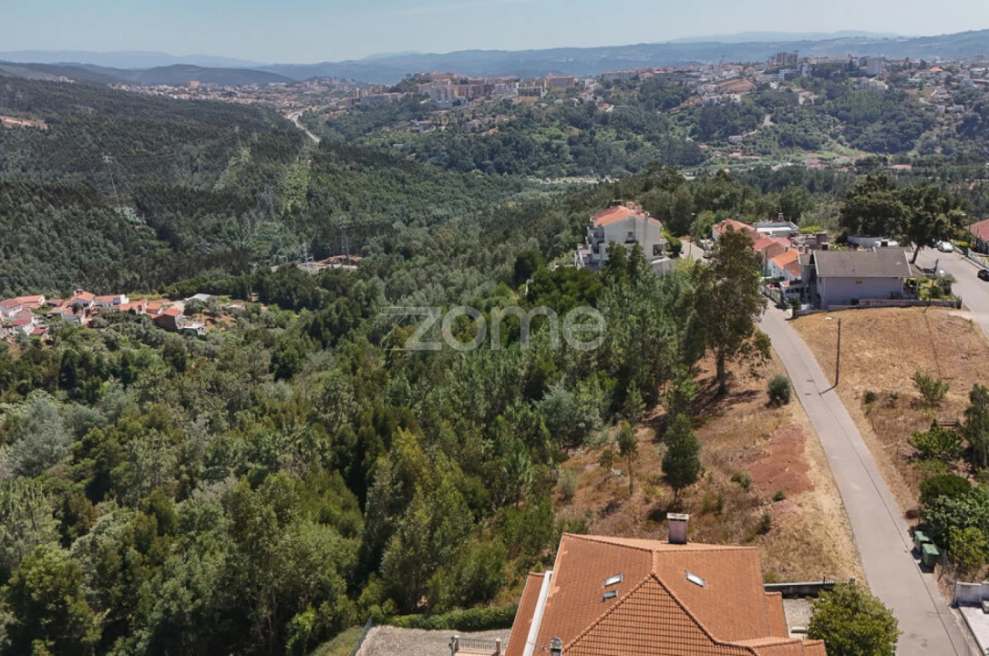 Terreno para Venda em Santo Antonio dos Olivais Foto 4