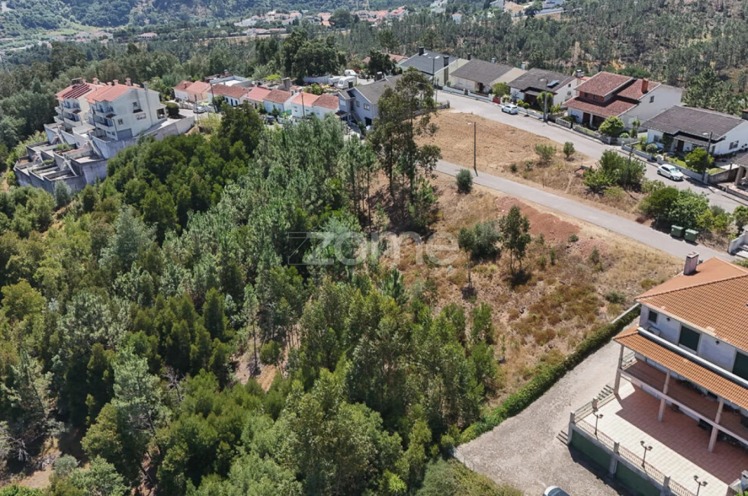Terreno para Venda em Santo Antonio dos Olivais Foto 5