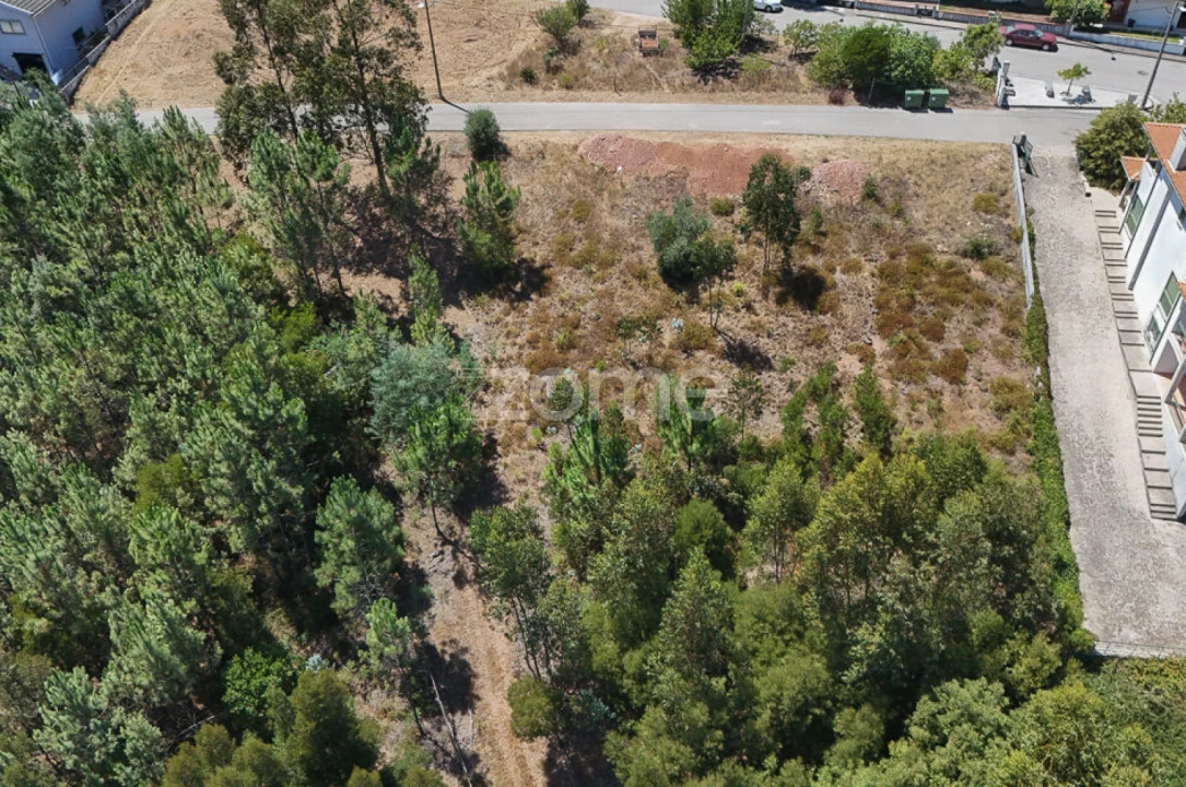 Terreno para Venda em Santo Antonio dos Olivais Foto 1