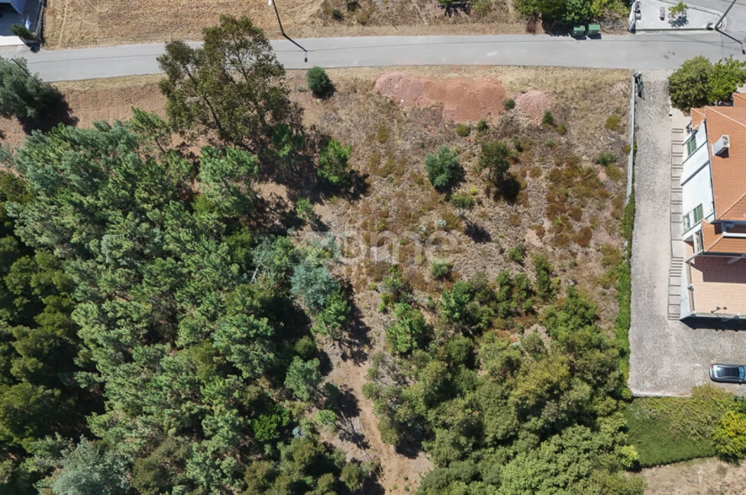 Terreno para Venda em Santo Antonio dos Olivais Foto 13