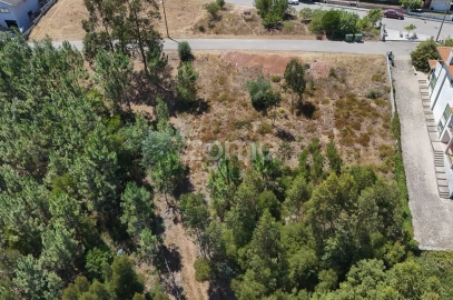 Terreno para Venda em Santo Antonio dos Olivais