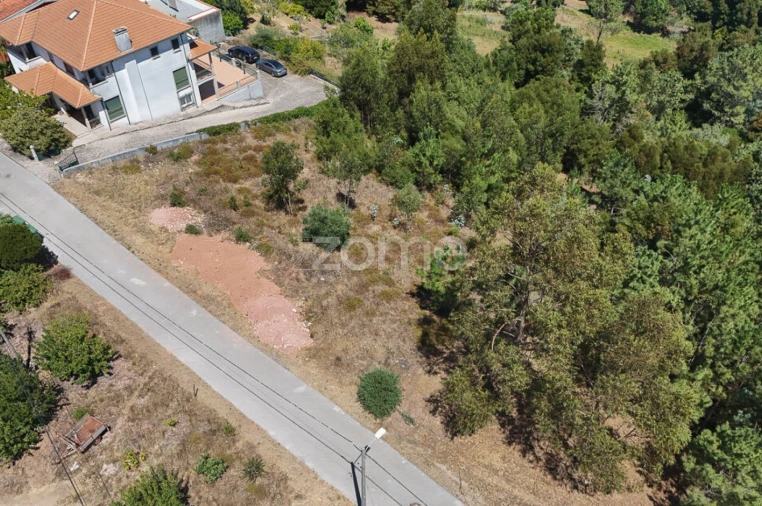 Terreno para Venda em Santo Antonio dos Olivais Foto 15
