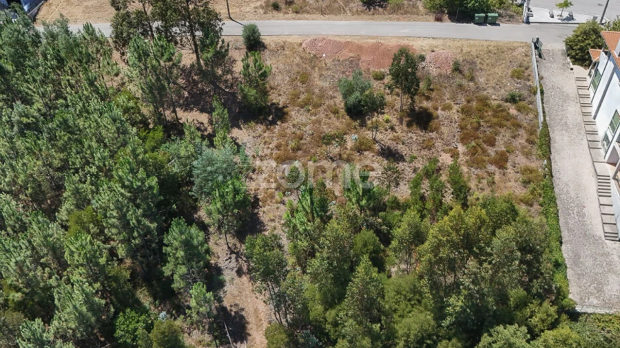 Terreno para Venda em Santo Antonio dos Olivais