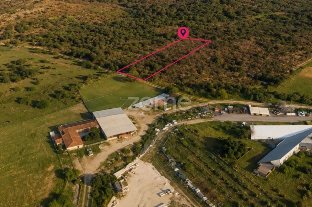 Terreno para Venda em Cadima Foto 5