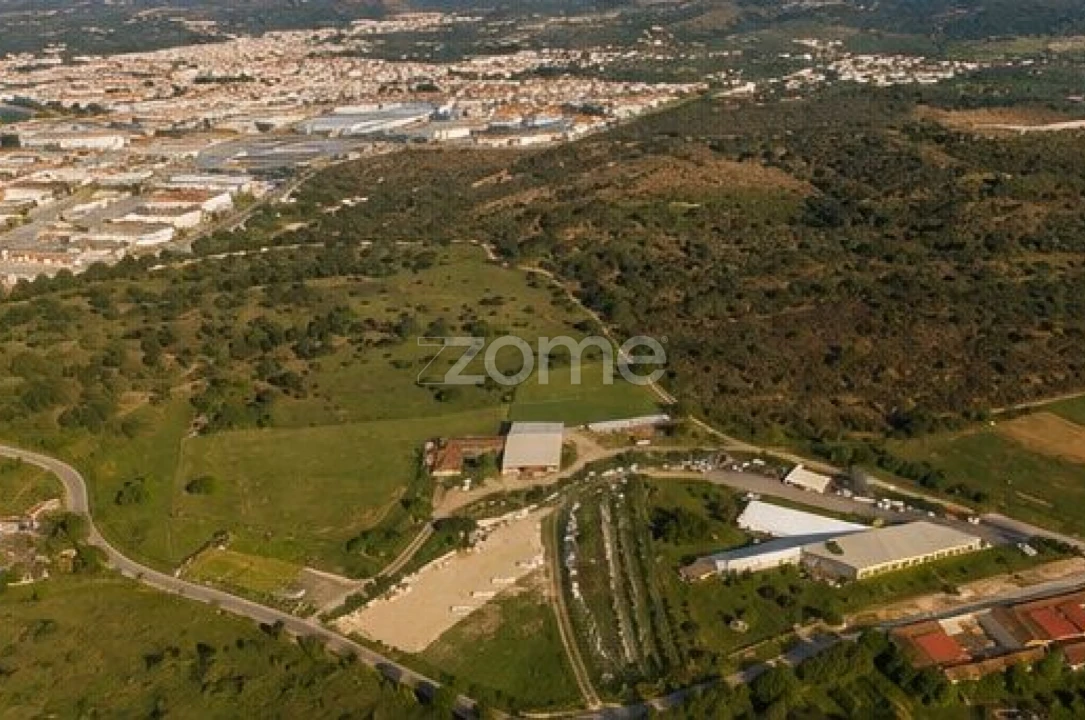 Terreno para Venda em Cadima Foto 3