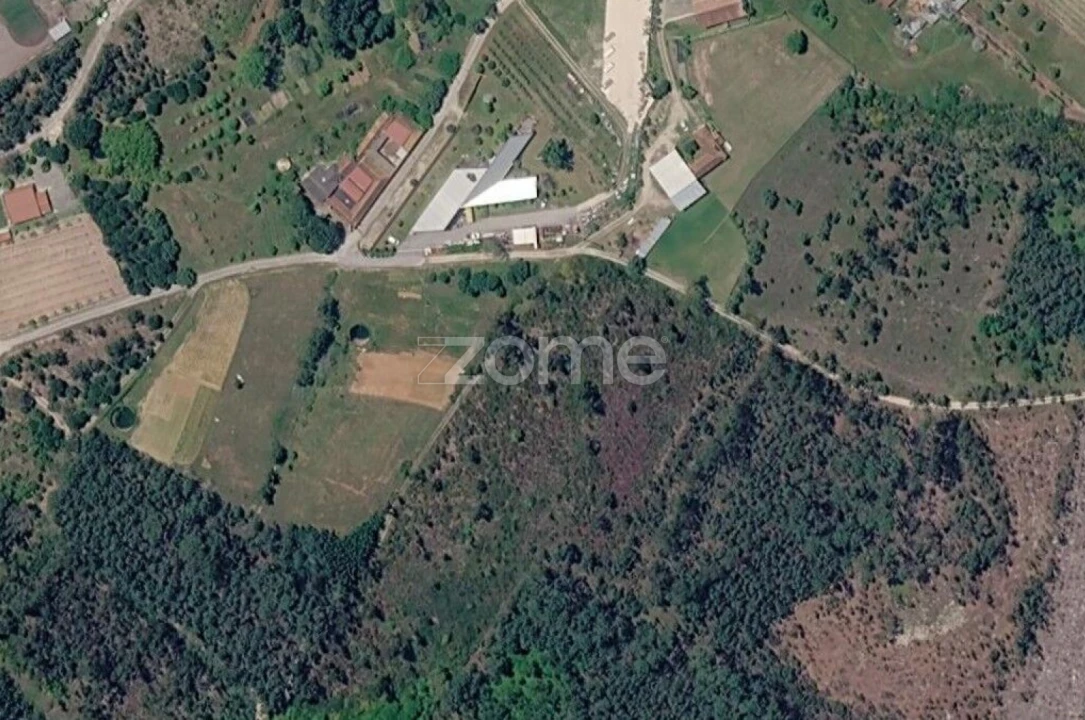 Terreno para Venda em Cadima Foto 8