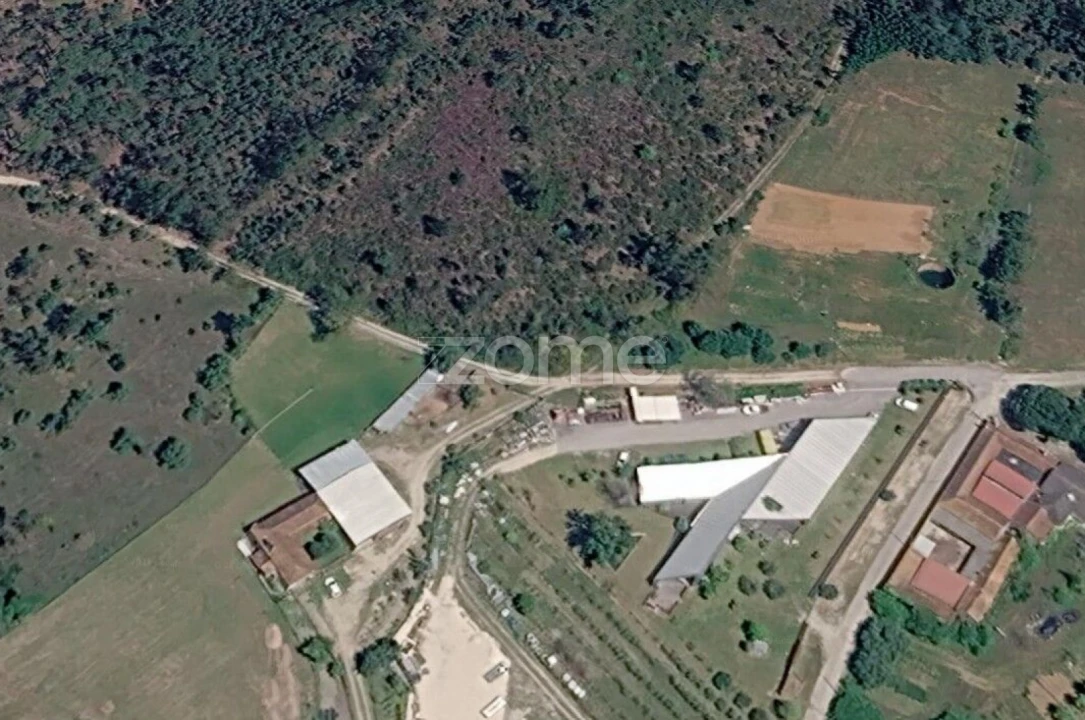 Terreno para Venda em Cadima Foto 15