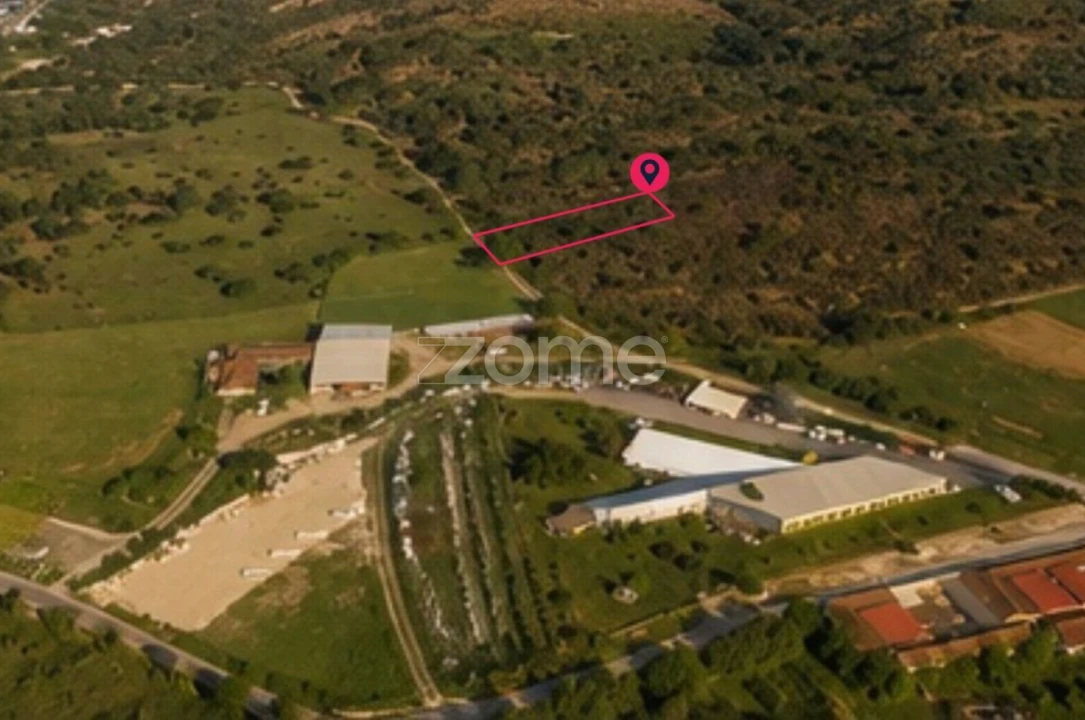 Terreno para Venda em Cadima Foto 4