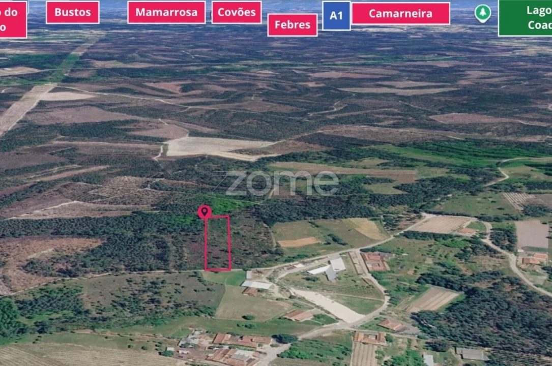 Terreno para Venda em Cadima Foto 2