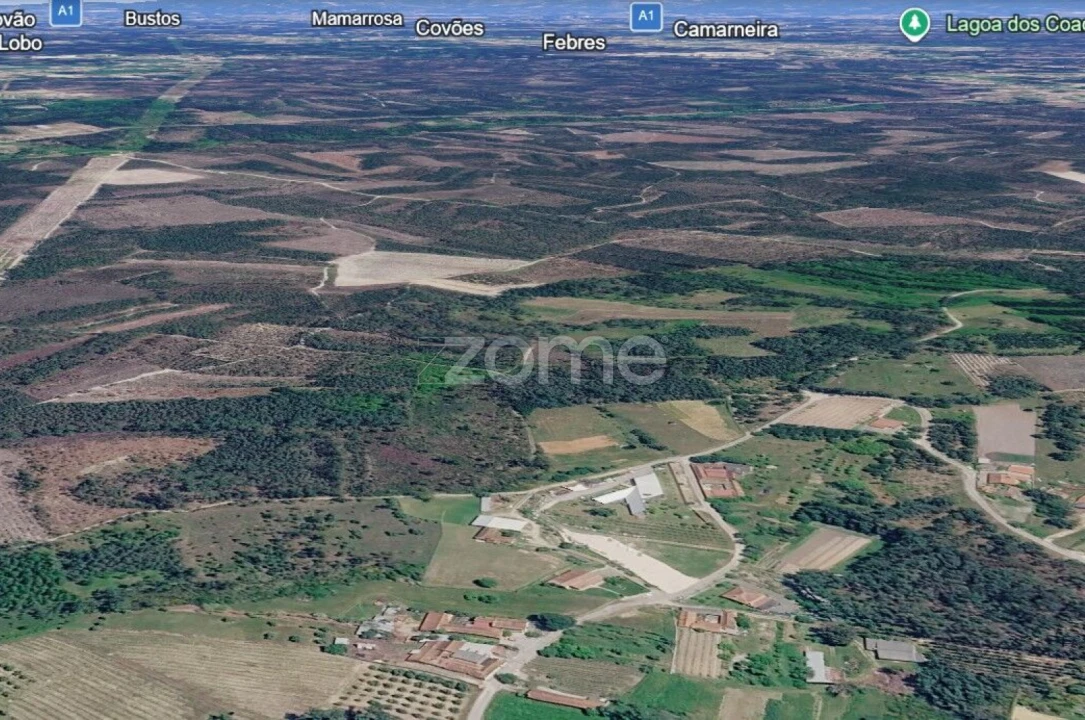 Terreno para Venda em Cadima Foto 9
