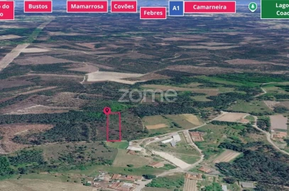 Terreno para Venda em Cadima
