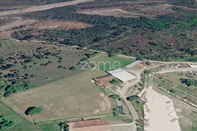 Terreno para Venda em Cadima