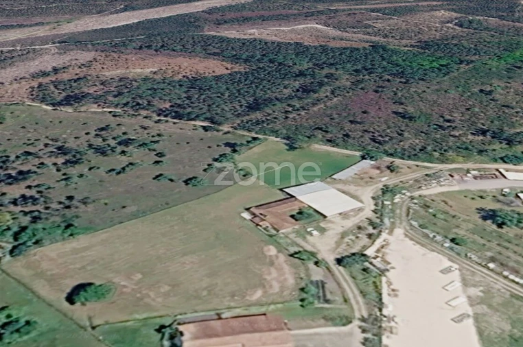 Terreno para Venda em Cadima Foto 7