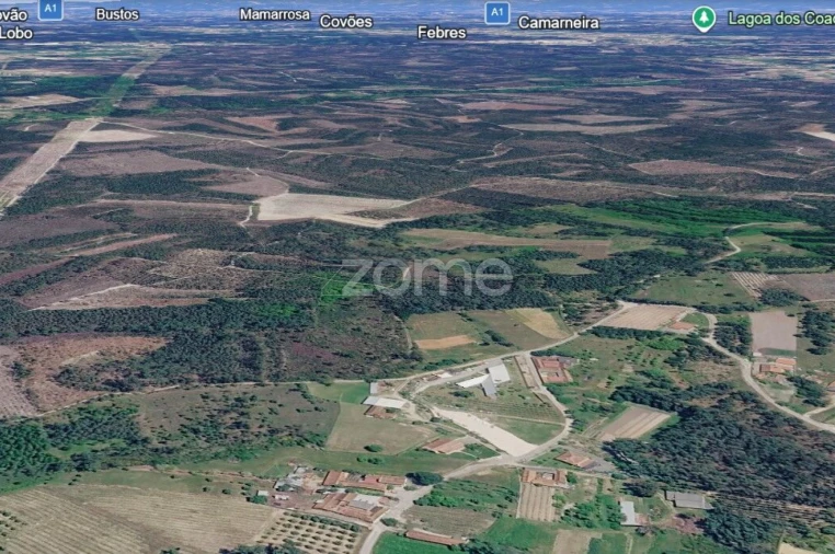 Terreno para Venda em Cadima Foto 9