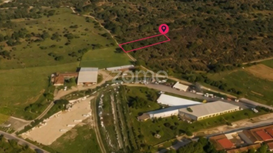 Terreno para Venda em Cadima