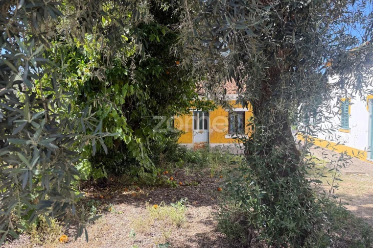 Moradia T2 para Venda em São Facundo e Vale das Mós Foto 3